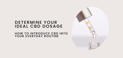 Determine your Ideal CBD Dosage and How to Introduce CBD Into Your Everyday Routine