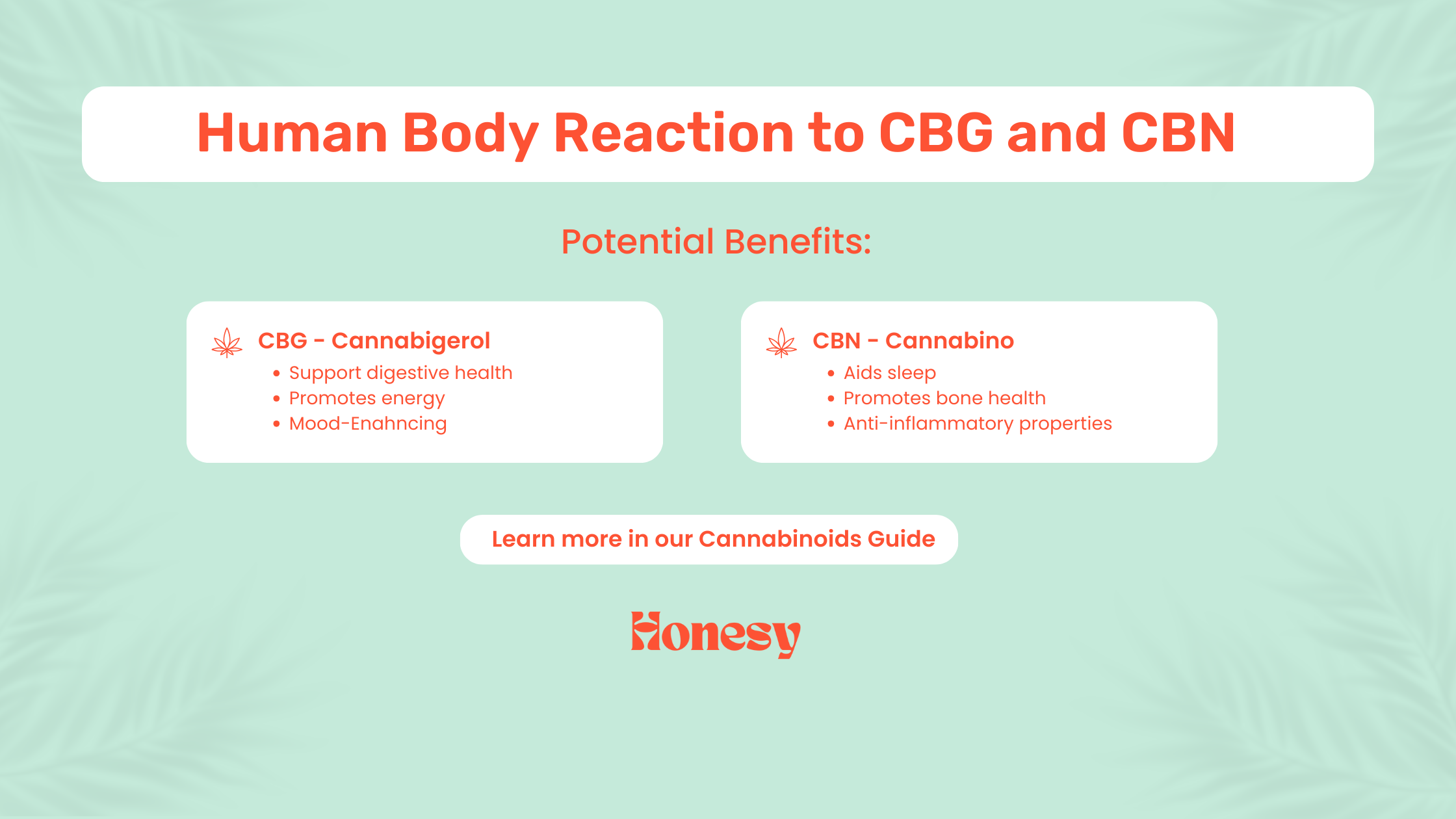 Human Body Reaction to Cannabinoids: CBG, CBN, CBD